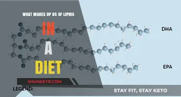 Lipid Diet: Understanding the 95% Composition
