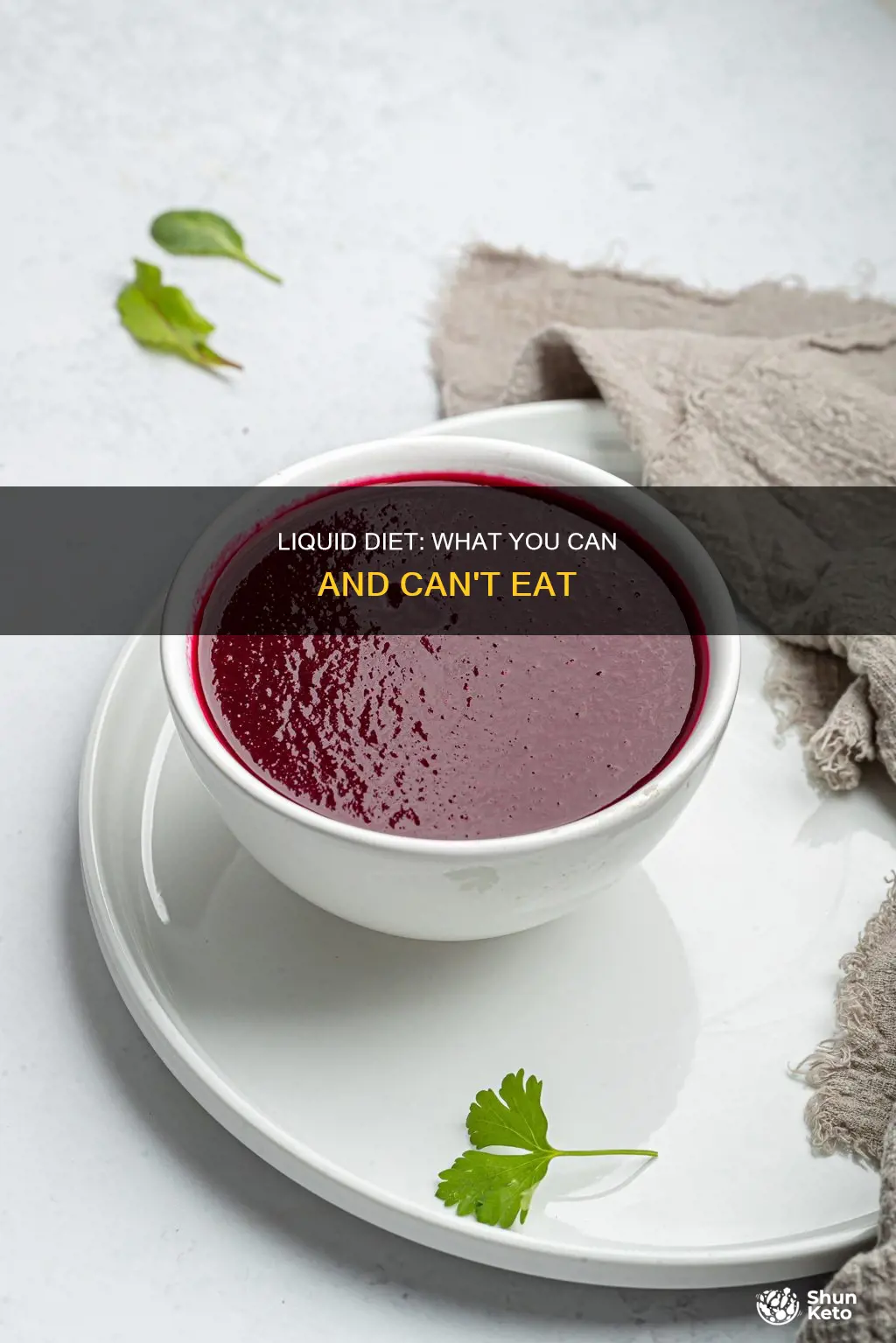 what makes up a full liquid diet