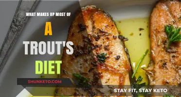 Trout Diet: What Do They Eat?