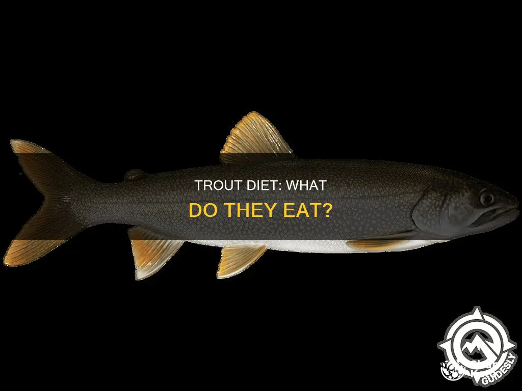 what makes up most of a trout