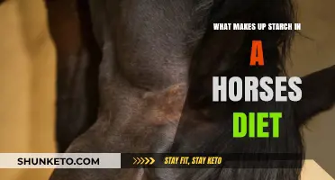 Starch in Horse Diets: What's the Ideal Composition?