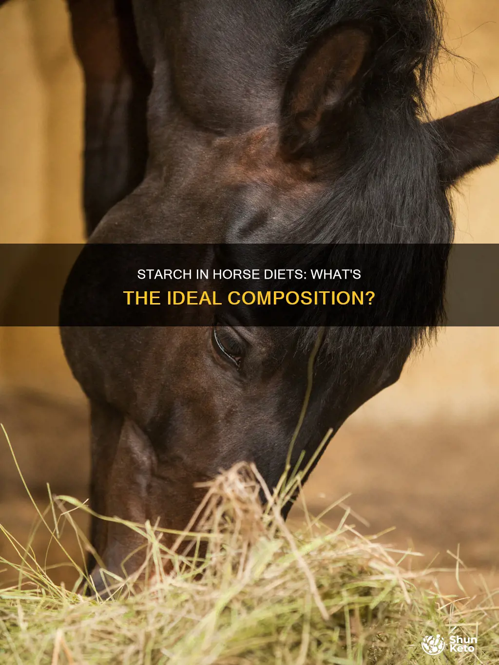 what makes up starch in a horses diet