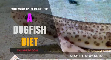 Dogfish Diet: What They Eat and Why