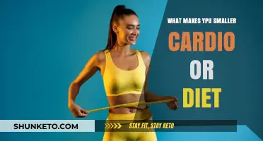 Cardio and Diet: What Really Trims You Down?