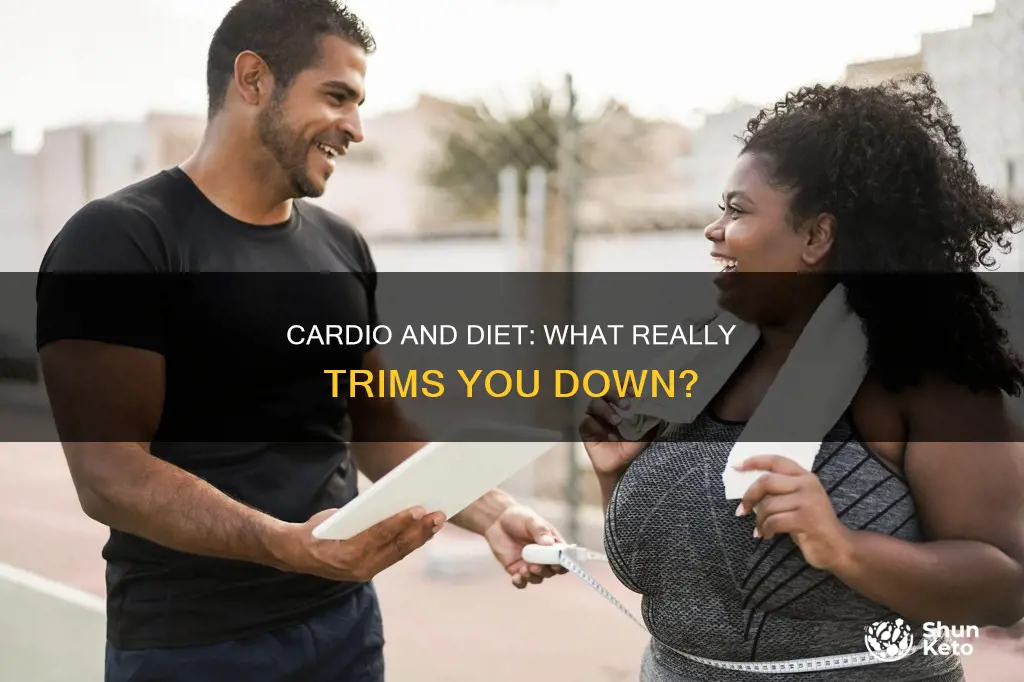 what makes ypu smaller cardio or diet