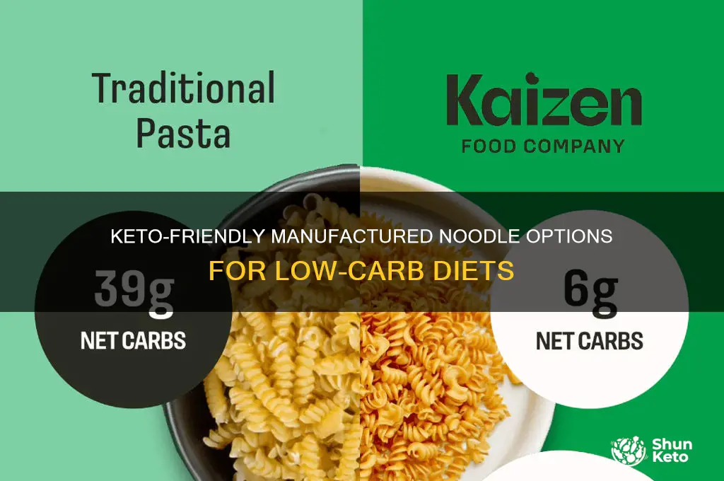 what manufactured noodles can you have on keto program