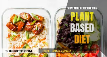 Plant-Based Diet: Delicious, Nutritious, and Satisfying Meals