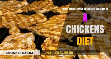 Excess Calcium: What's Too Much for Chickens?