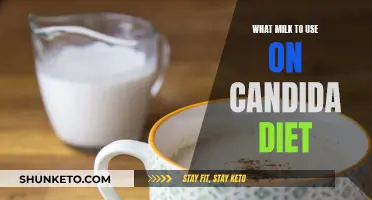 Milk Options for Candida Diet: What to Choose?
