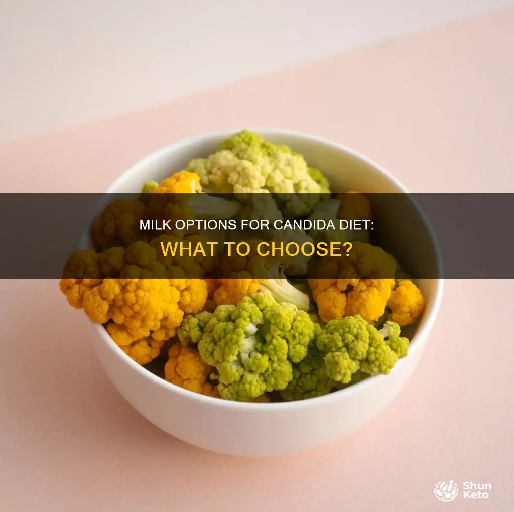 what milk to use on candida diet