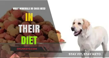 Essential Minerals: A Balanced Diet for Your Dog's Health