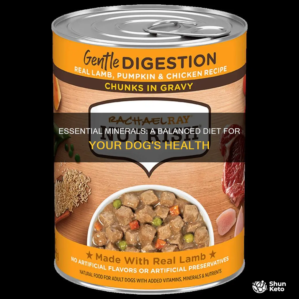 what minerals do dogs need in their diet