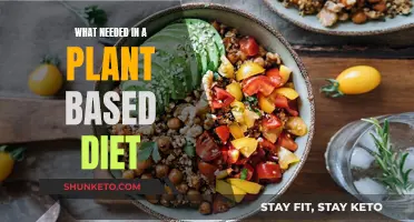 Plant-Based Diets: Essential Nutrients and Healthy Eating Habits