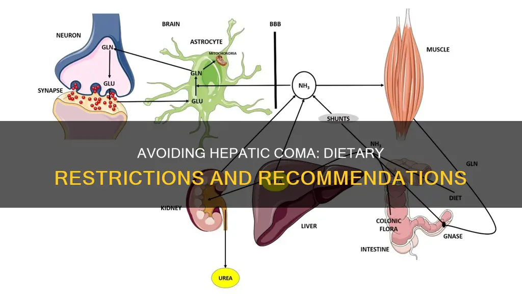 what needs to be decreased in diet for hepatic coma
