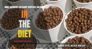 Calorie-Contributing Nutrients: What Fuels Your Body's Energy Needs?