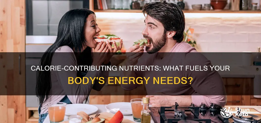 what nutrient category supplies calories in the diet
