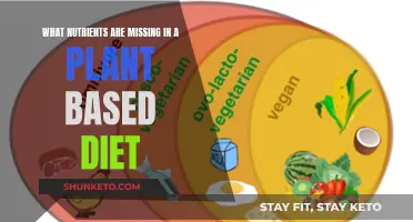 Plant-Based Diets: Essential Nutrients Missing and How to Get Them