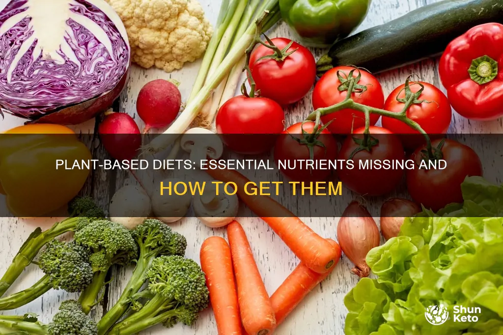 what nutrients are missing in a plant based diet