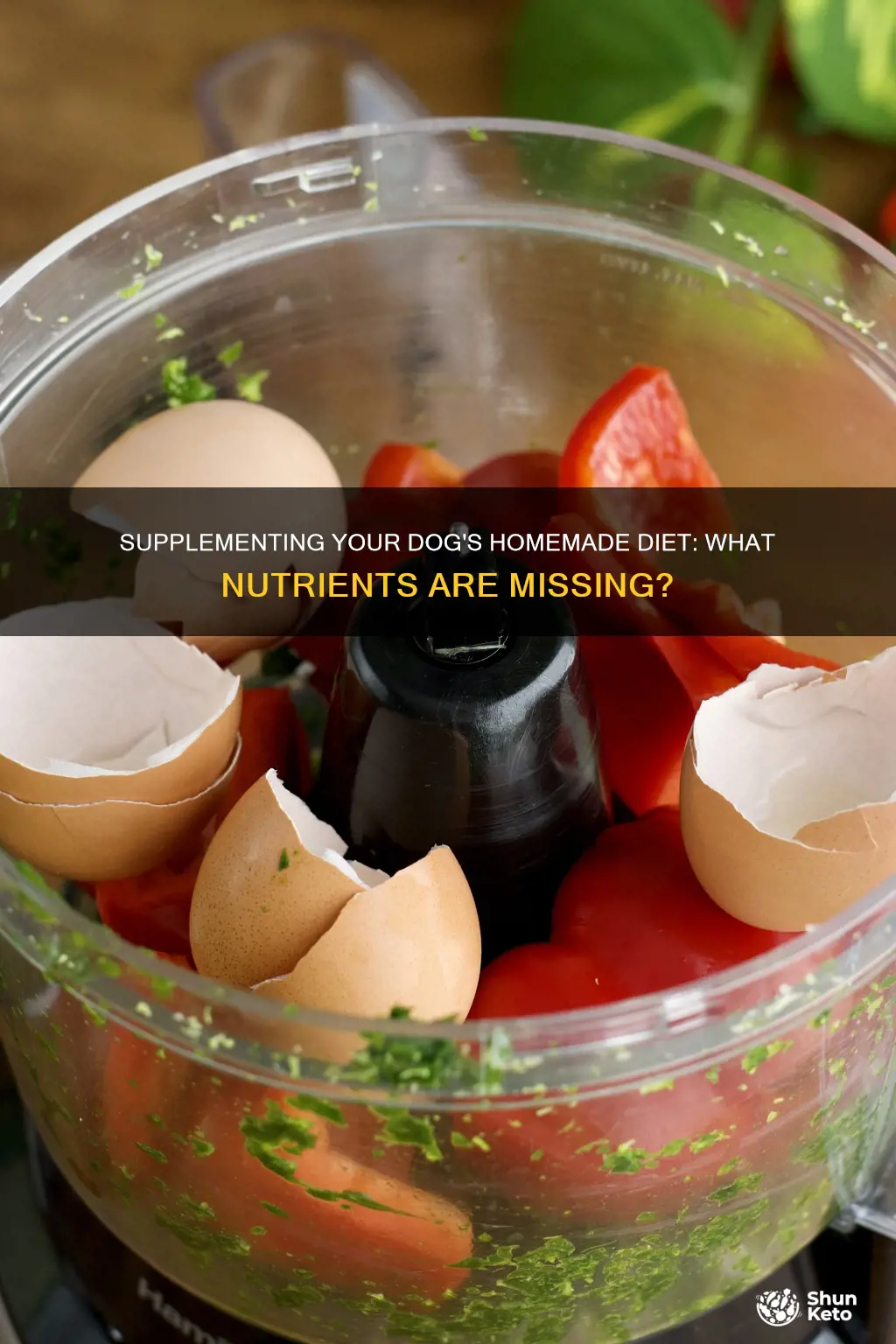 what nutrients do dogs miss on a homemade diet