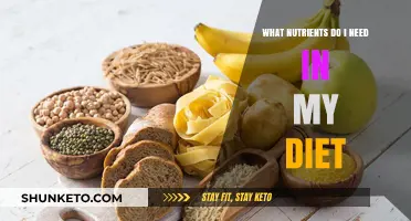 Nutrition Basics: Essential Nutrients for a Balanced Diet