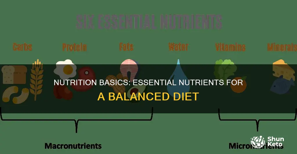 what nutrients do i need in my diet