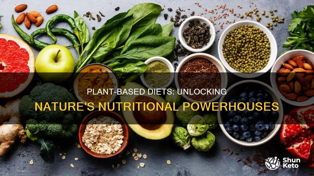 what nutrients increase in a plant based diet