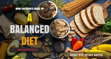 Nutrition Basics: Building Blocks of a Balanced Diet