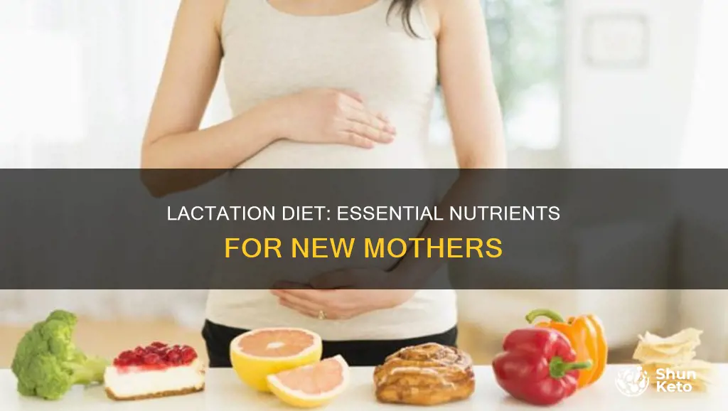 what nutrients to increase in her diet during lactation