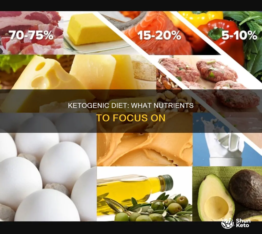 what nutrion to look for on ketogenic diet