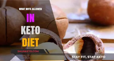 Keto-Friendly Nuts: Top Choices for Low-Carb Snacking Success