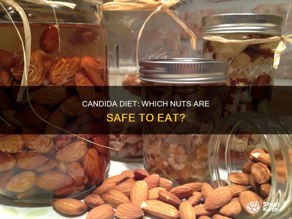 what nuts are ok on a candida diet
