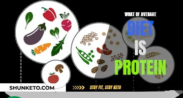 Protein in an Average Diet: How Much is Enough?