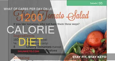 Calorie Counting: Understanding Daily Carb Intake on a Diet