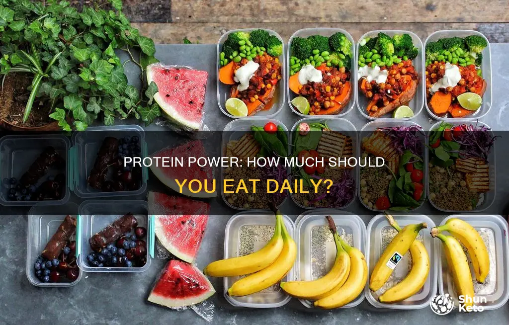 what of daily diet should be protein