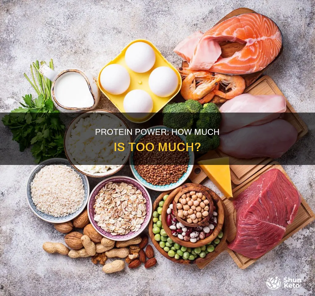 what of diet should be protein