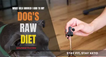 Healthy Oils for Your Dog's Raw Diet