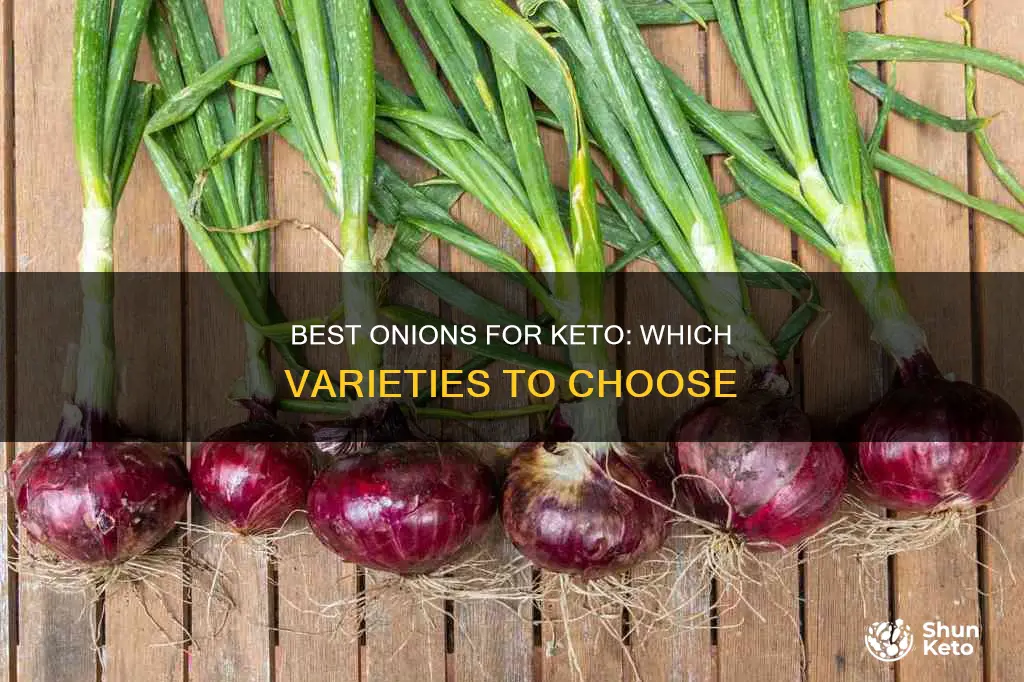 what onion is best for keto