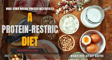 Protein-Restricted Diets: What Diseases Require This?