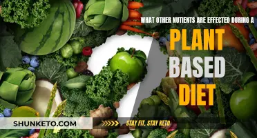 Plant-Based Diets: Other Nutrients Affected and How?