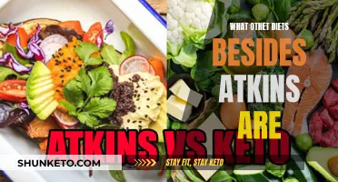 Exploring Non-Atkins Diet Plans: Alternative Weight Loss Strategies