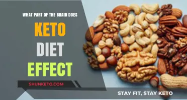 How the Keto Diet Influences Brain Function and Cognitive Health