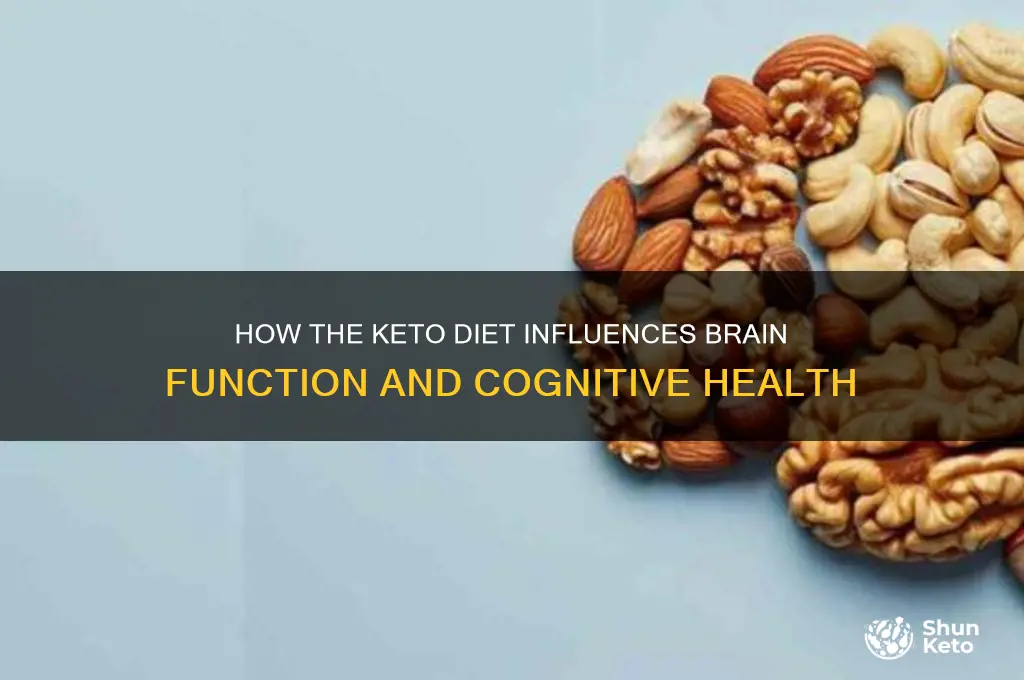 what part of the brain does keto diet effect