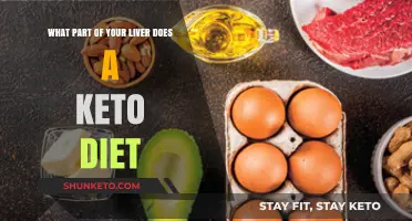 How a Keto Diet Impacts Your Liver's Function and Health