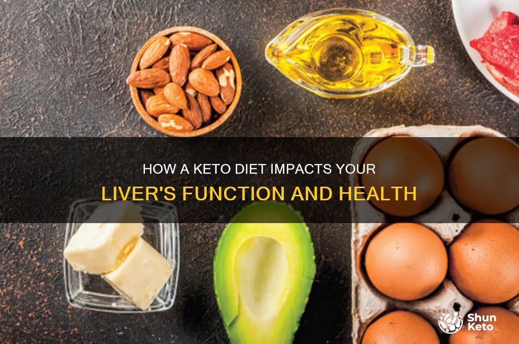 what part of your liver does a keto diet