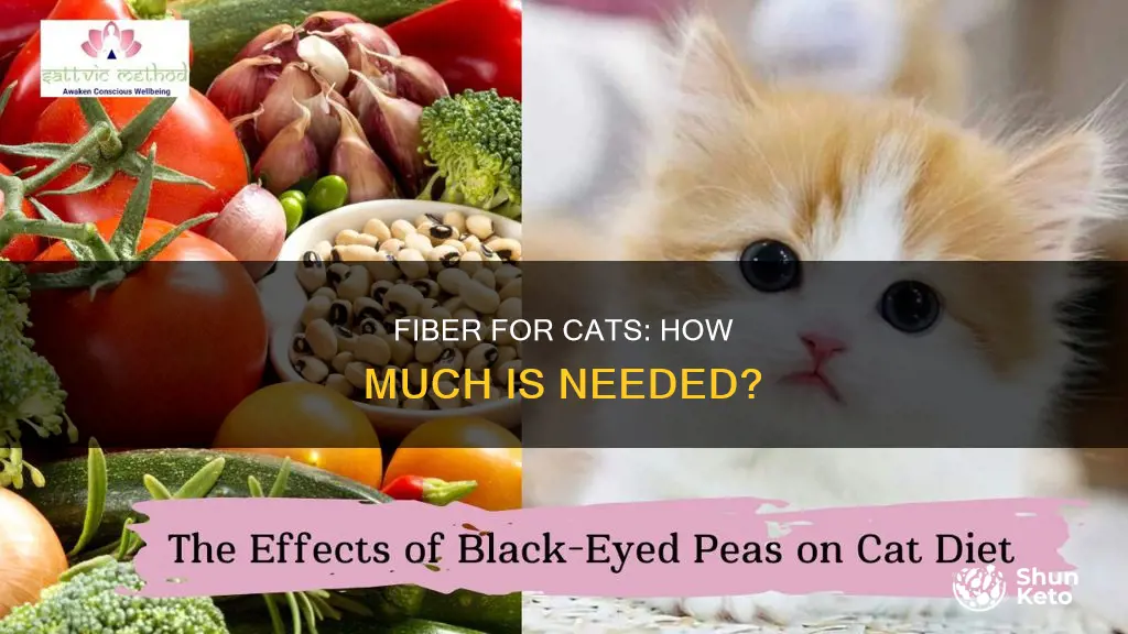what percent fiber does a cat need in their diet