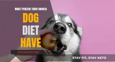 Fiber Intake for Dogs: How Much is Enough?