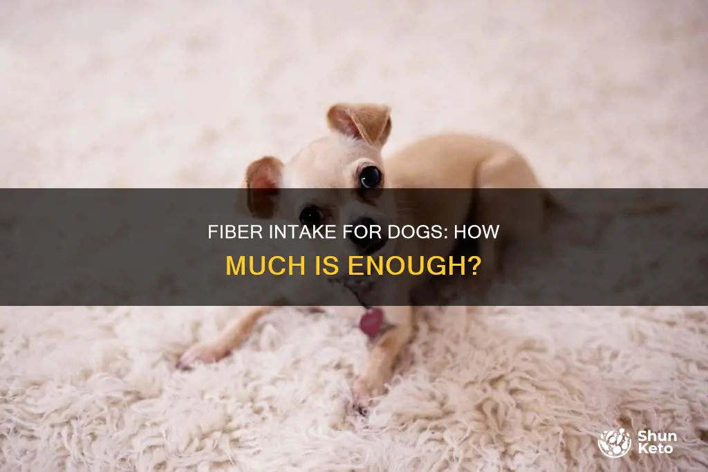 what percent fiber should dog diet have