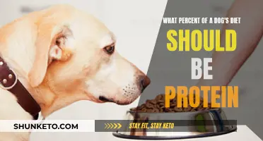 Protein for Pooches: How Much is Enough?