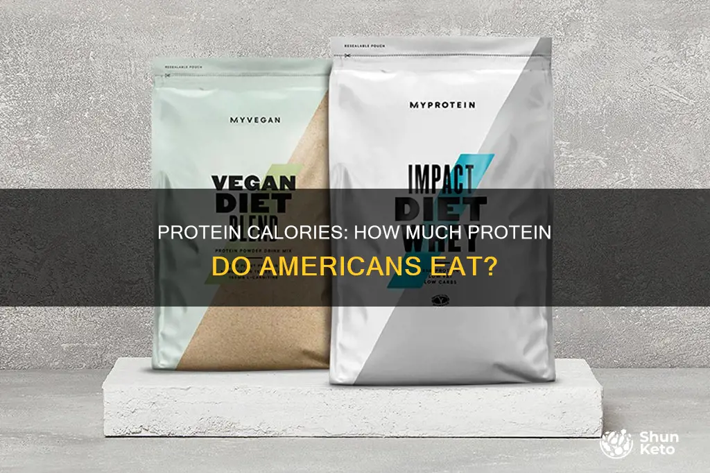 what percent of calories come from protein in us diet