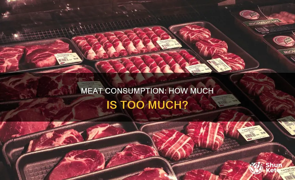 what percent of my diet consists of meat